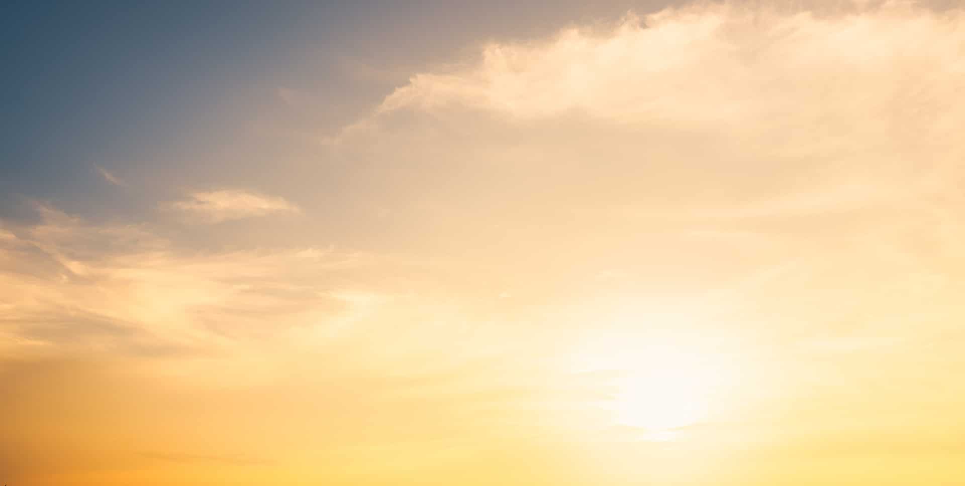 Vitamin D2 vs D3: What should I take for better health?